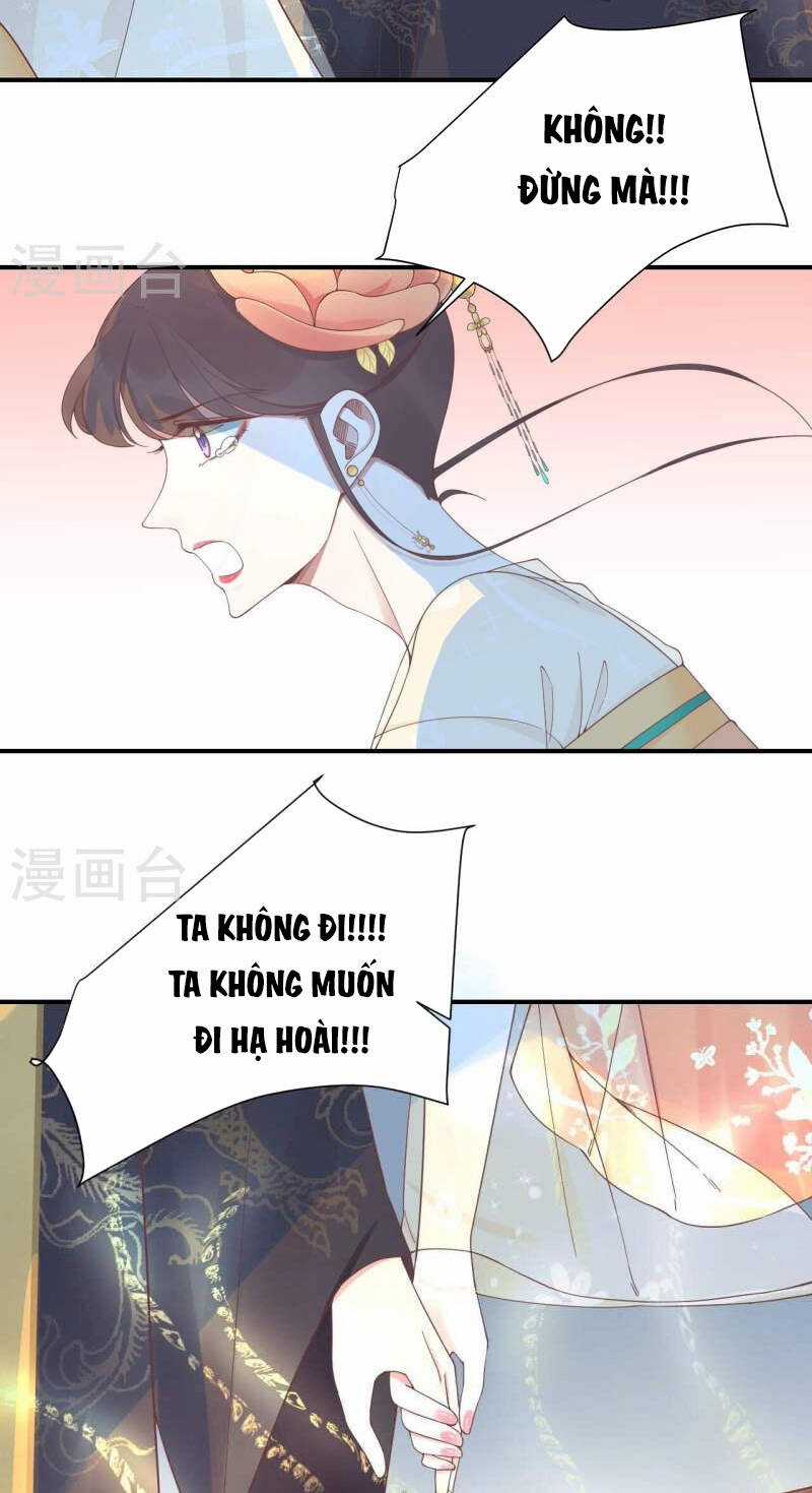 Hoàng Hậu Bận Lắm Chapter 214 trang 50