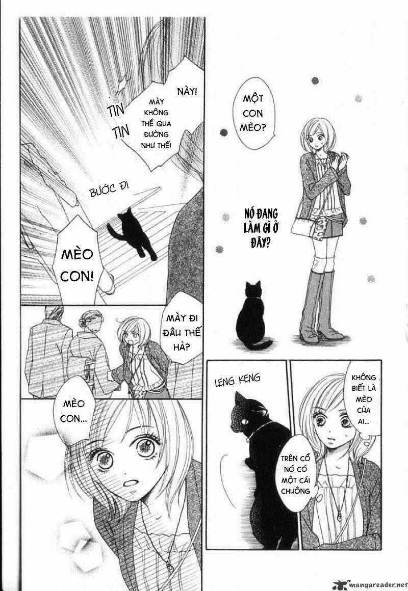 Hoàng Hậu Hậu Trường Chapter 1 trang 11