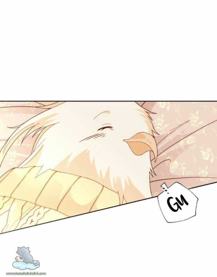 Hoàng Hậu Muốn Tái Hôn Chapter 117 trang 69