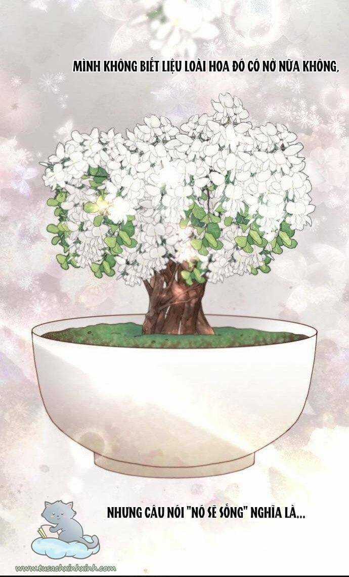 Hoàng Hậu Muốn Tái Hôn Chapter 120 trang 39