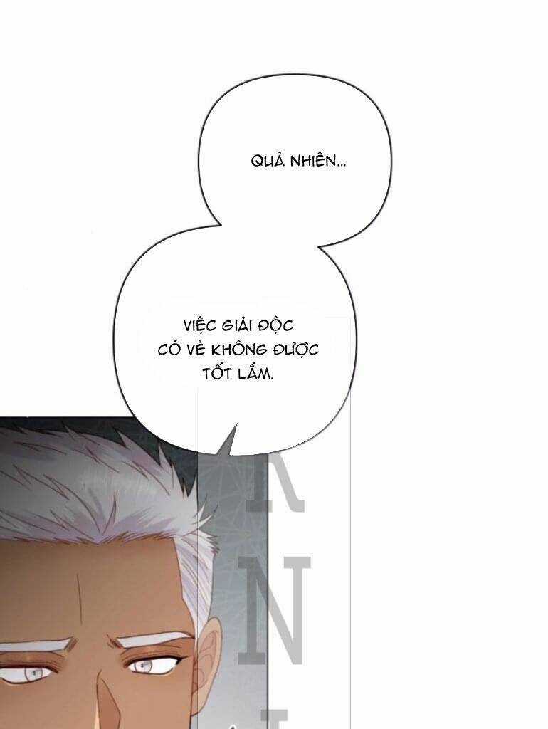 Hoàng Hậu Muốn Tái Hôn Chapter 122 trang 55