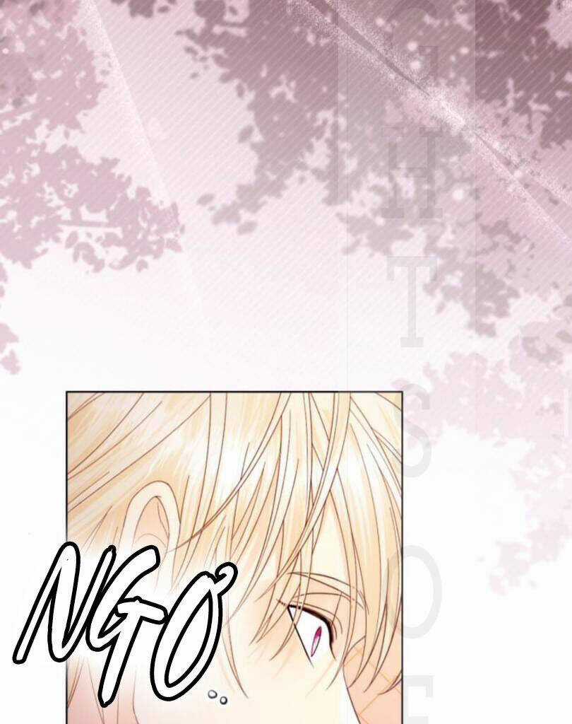 Hoàng Hậu Muốn Tái Hôn Chapter 129 trang 58