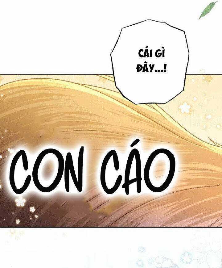 Hoàng Hậu Muốn Tái Hôn Chapter 142 trang 26