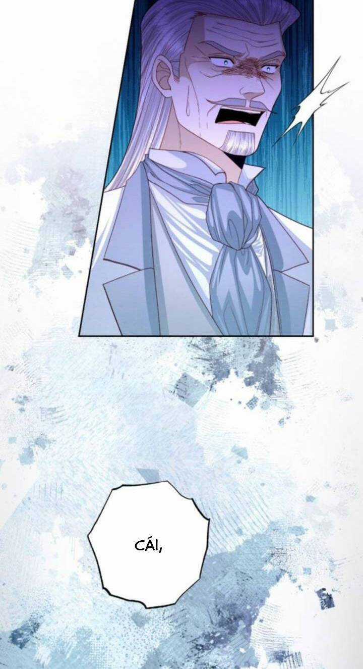 Hoàng Hậu Muốn Tái Hôn Chapter 165 trang 64