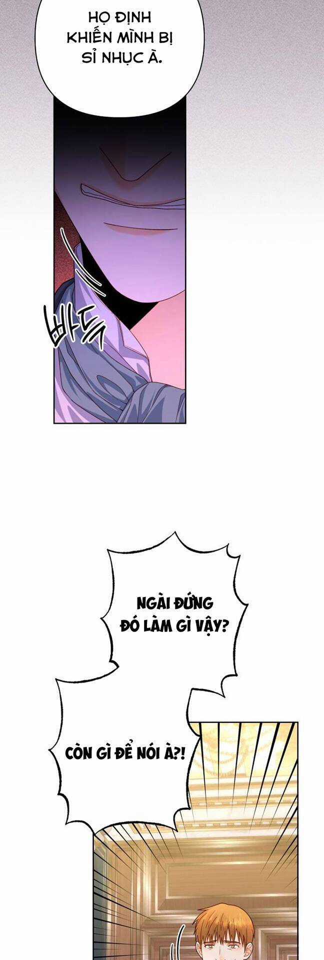 Hoàng Hậu Muốn Tái Hôn Chapter 169 trang 27