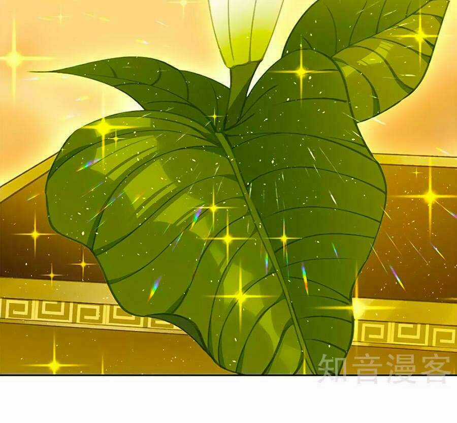 Hoàng Hậu Nương Nương Đích Năm Xu Đặc Hiệu Chapter 151 trang 24