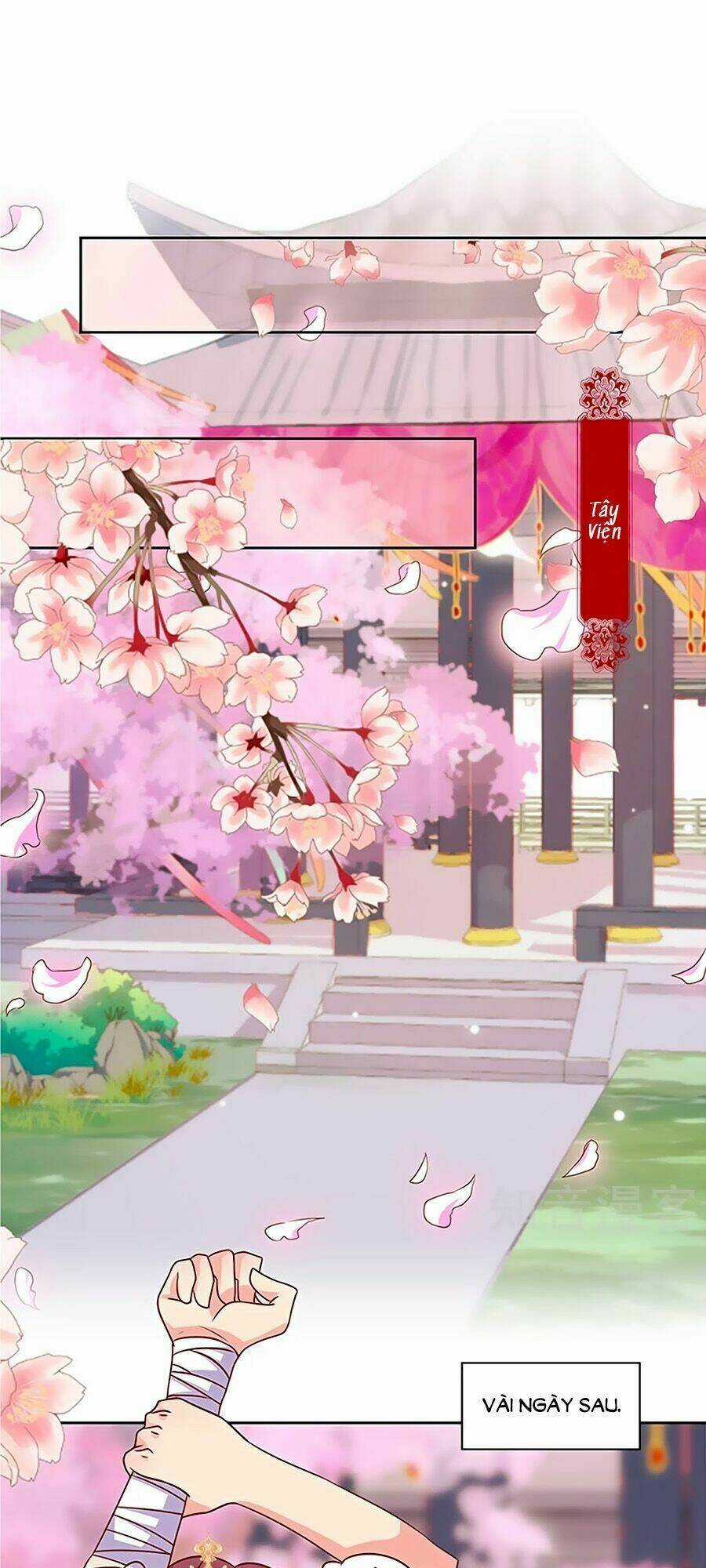 Hoàng Hậu Nương Nương Đích Năm Xu Đặc Hiệu Chapter 206 trang 15