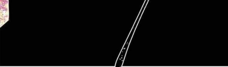 Hoàng Hậu Tái Hôn Chương 1 trang 43