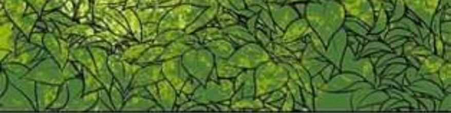 Hoàng Hậu Tái Hôn Chương 2 trang 55