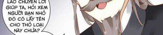 Hoàng Hậu Ương Bướng Chapter 29 trang 13