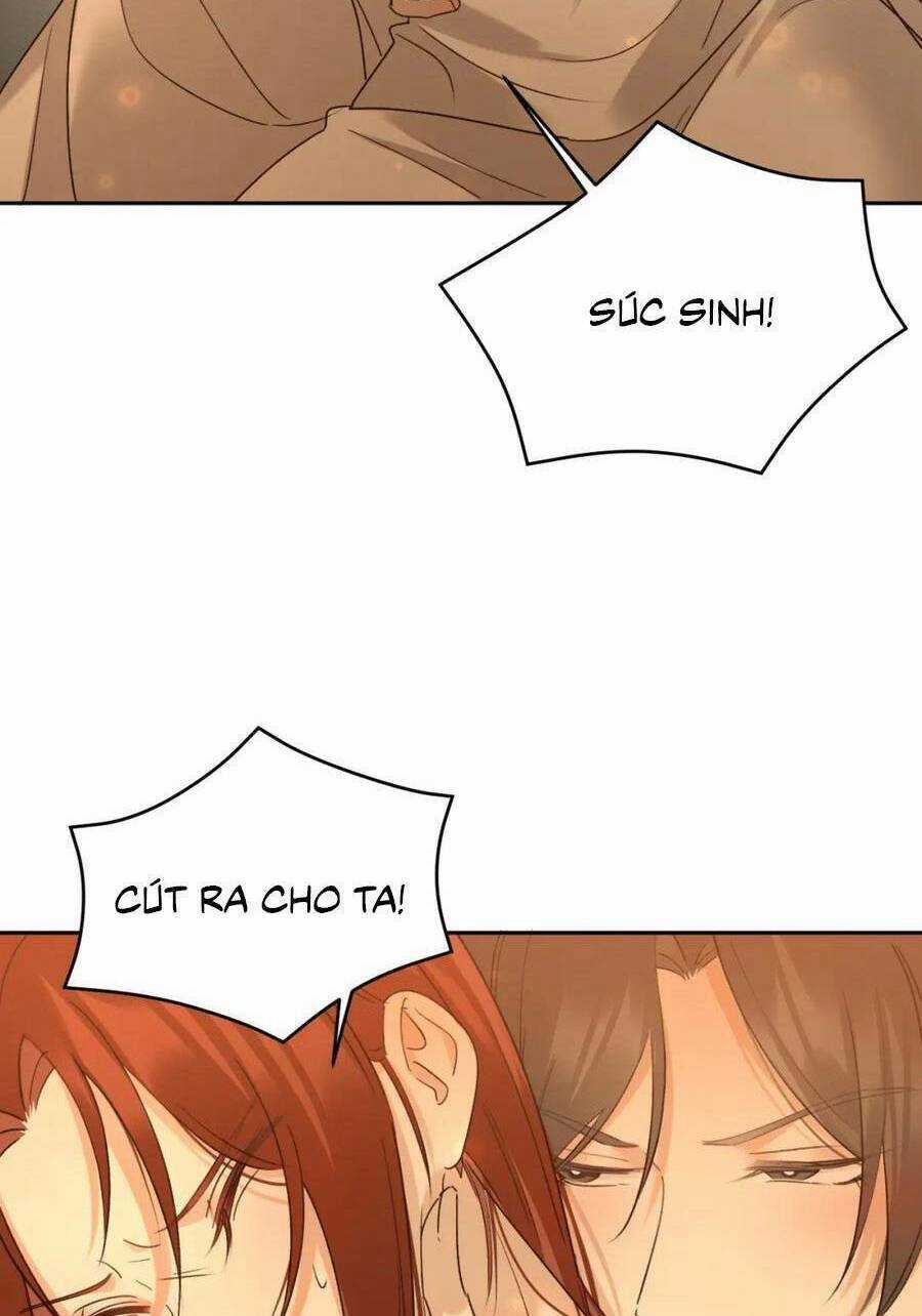 Hoàng Hậu Vô Đức Chapter 104 trang 13