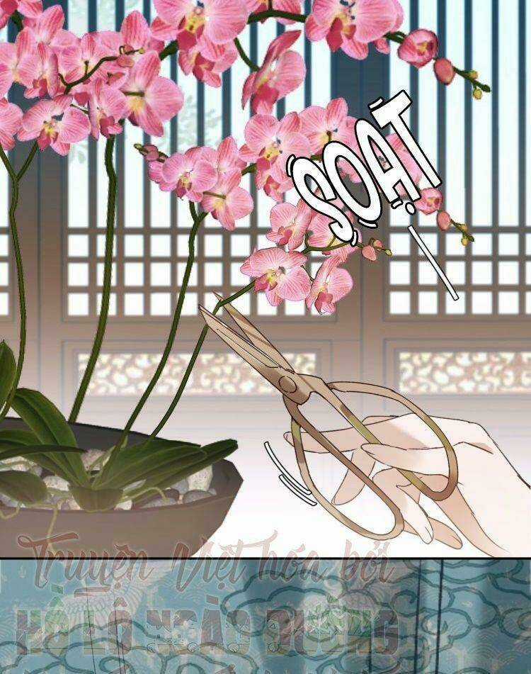 Hoàng Hậu Vô Đức Chapter 13 trang 51