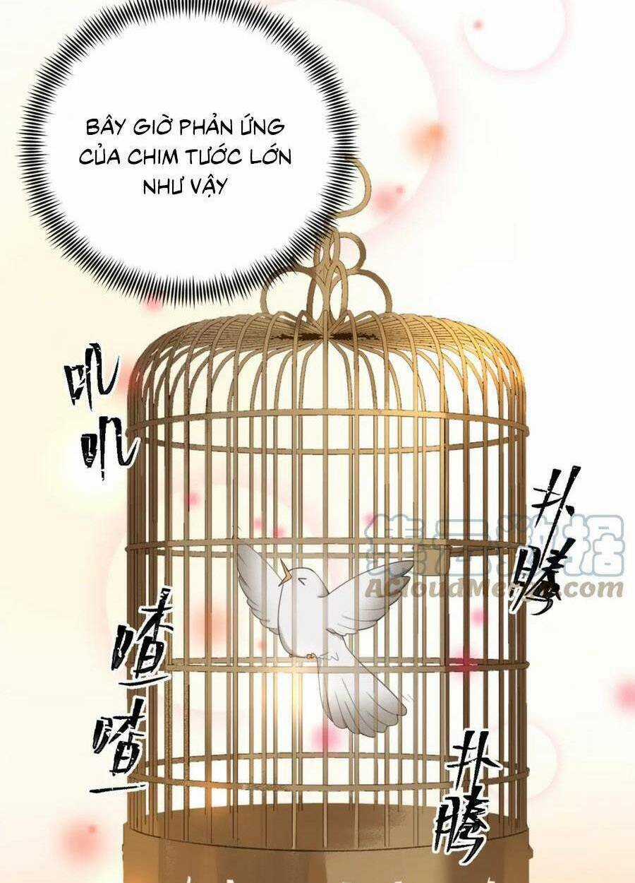 Hoàng Hậu Vô Đức Chapter 80 trang 42