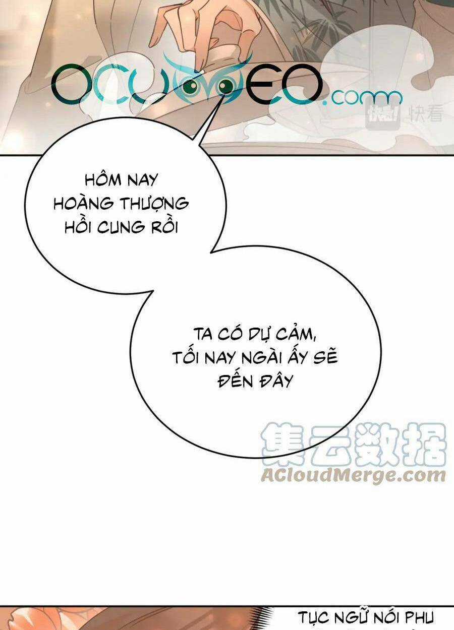 Hoàng Hậu Vô Đức Chapter 88 trang 4