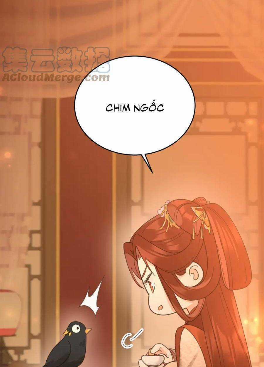 Hoàng Hậu Vô Đức Chapter 88 trang 45