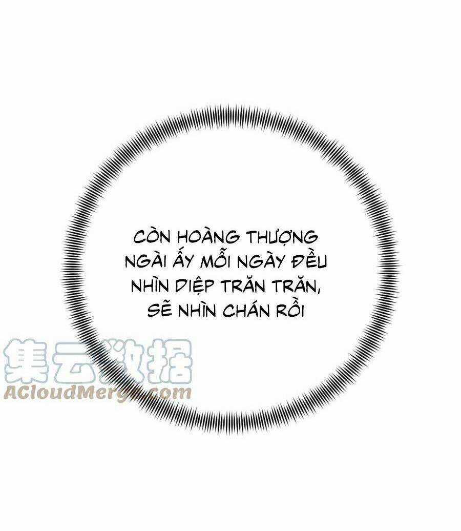 Hoàng Hậu Vô Đức Chapter 88 trang 6