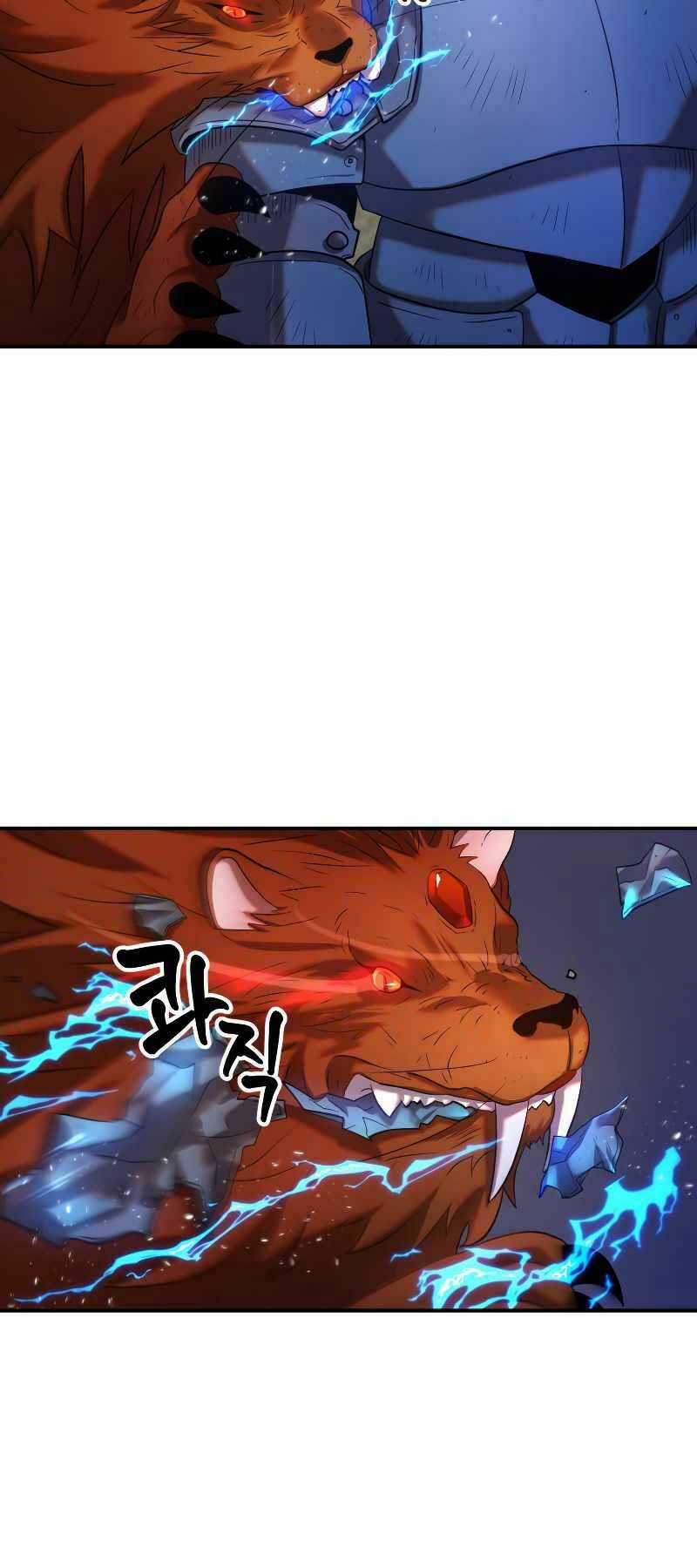 Hoàng Kim Pháp Sư Chapter 25 trang 10