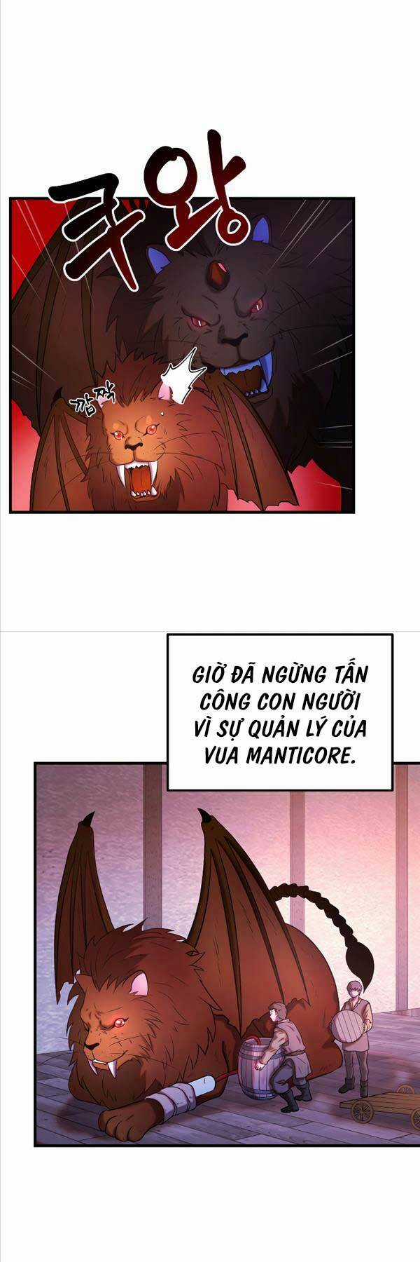 Hoàng Kim Pháp Sư Chapter 28 trang 17