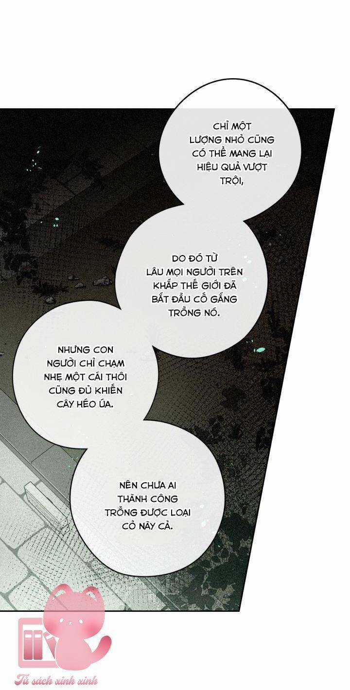 Hoàng Nữ Tóc Đen Chapter 49 trang 12