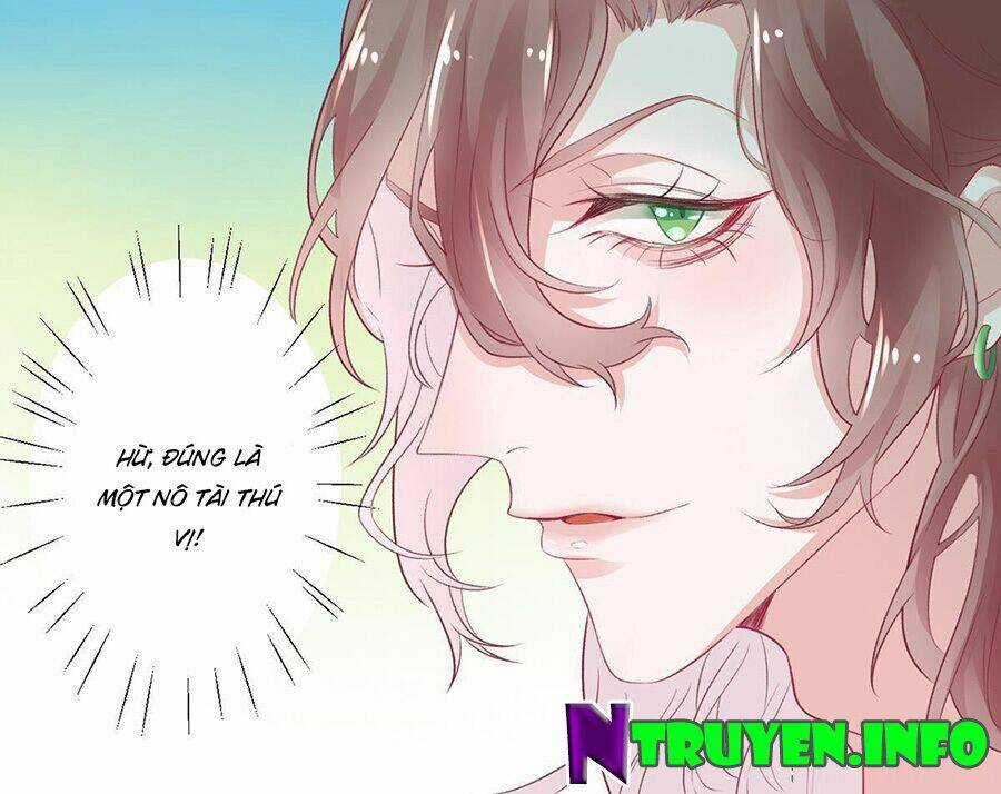 Hoàng Phi 9000 Tuổi Chapter 10 trang 8