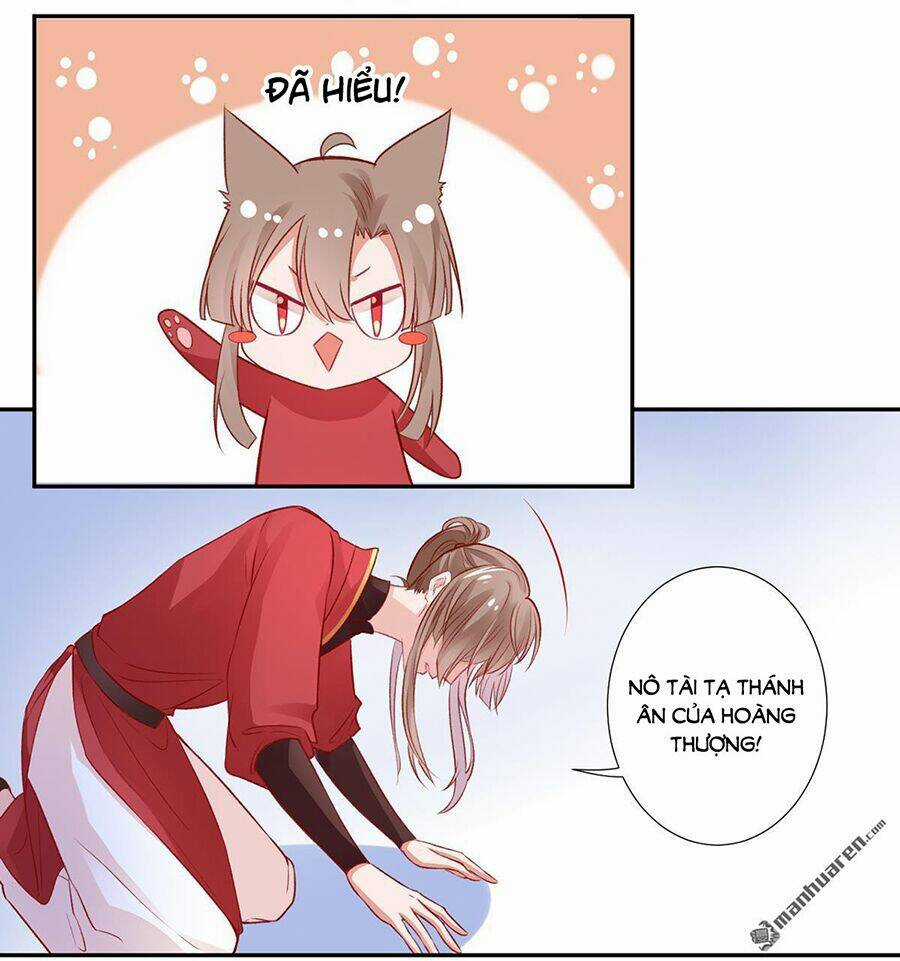 Hoàng Phi 9000 Tuổi Chapter 11 trang 24