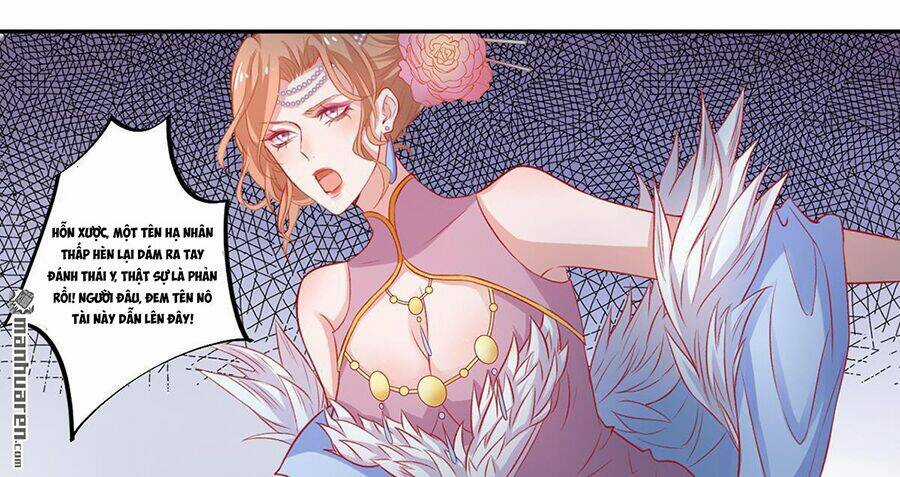 Hoàng Phi 9000 Tuổi Chapter 11 trang 9