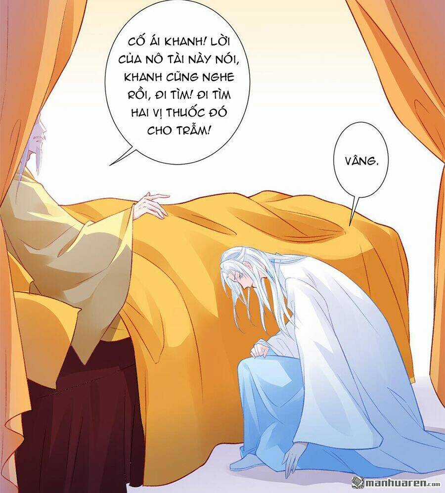 Hoàng Phi 9000 Tuổi Chapter 13 trang 11