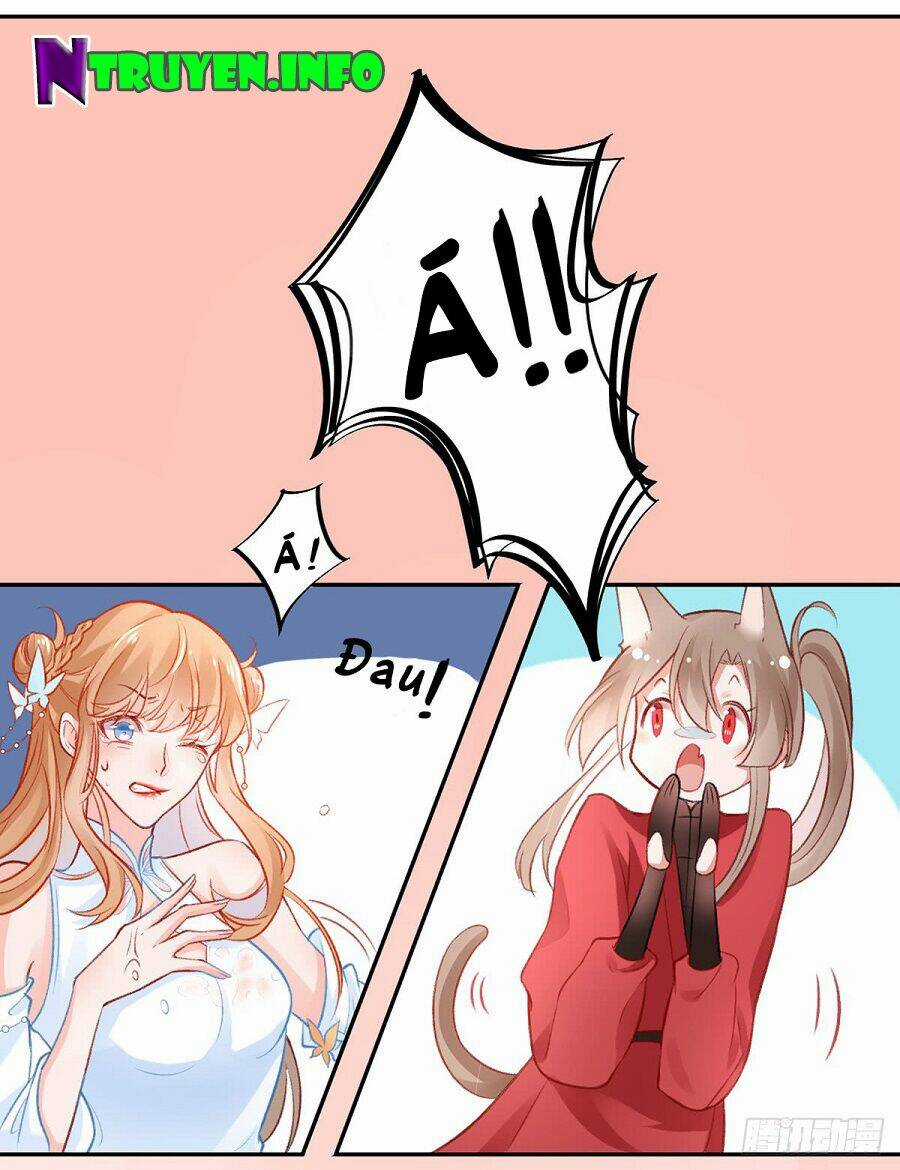 Hoàng Phi 9000 Tuổi Chapter 15 trang 13