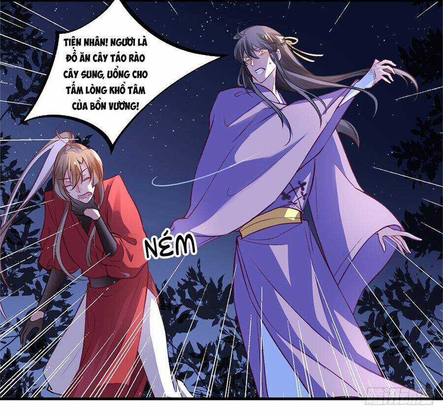 Hoàng Phi 9000 Tuổi Chapter 16 trang 11