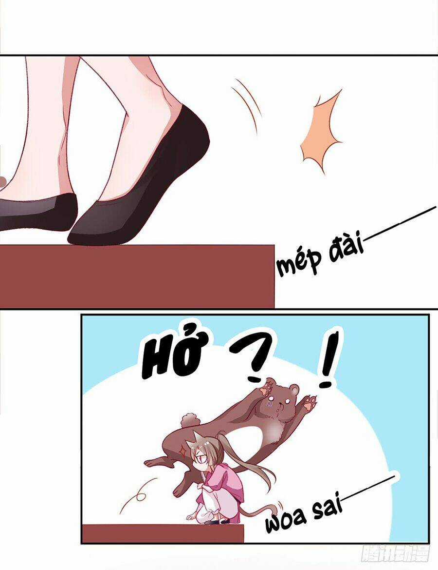 Hoàng Phi 9000 Tuổi Chapter 17 trang 13