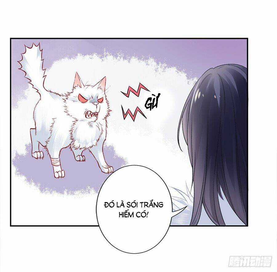 Hoàng Phi 9000 Tuổi Chapter 19 trang 16