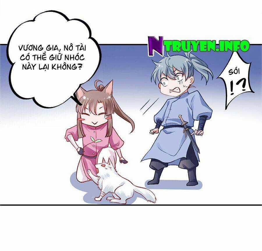 Hoàng Phi 9000 Tuổi Chapter 19 trang 17