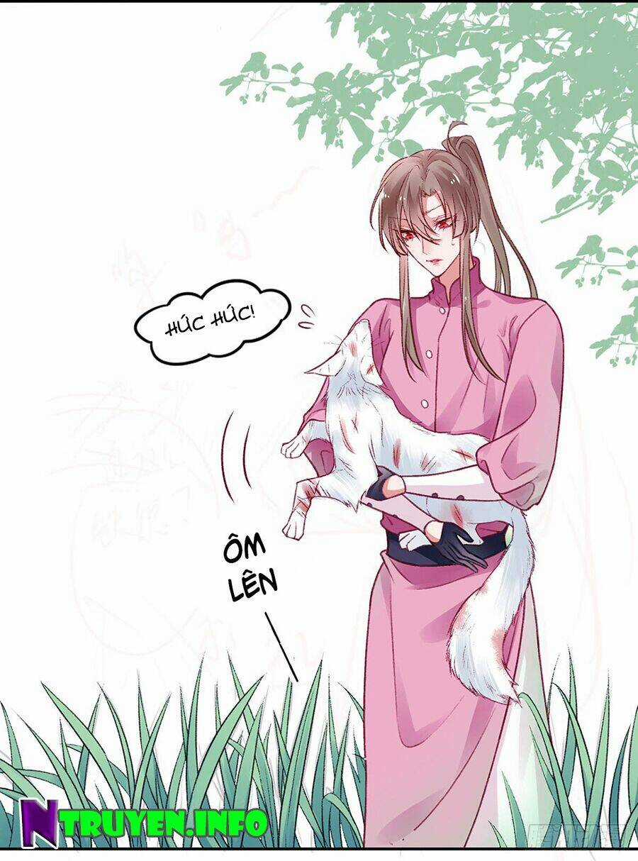 Hoàng Phi 9000 Tuổi Chapter 19 trang 2