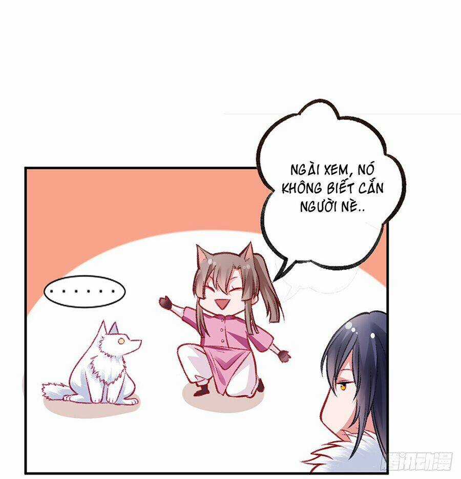 Hoàng Phi 9000 Tuổi Chapter 19 trang 20