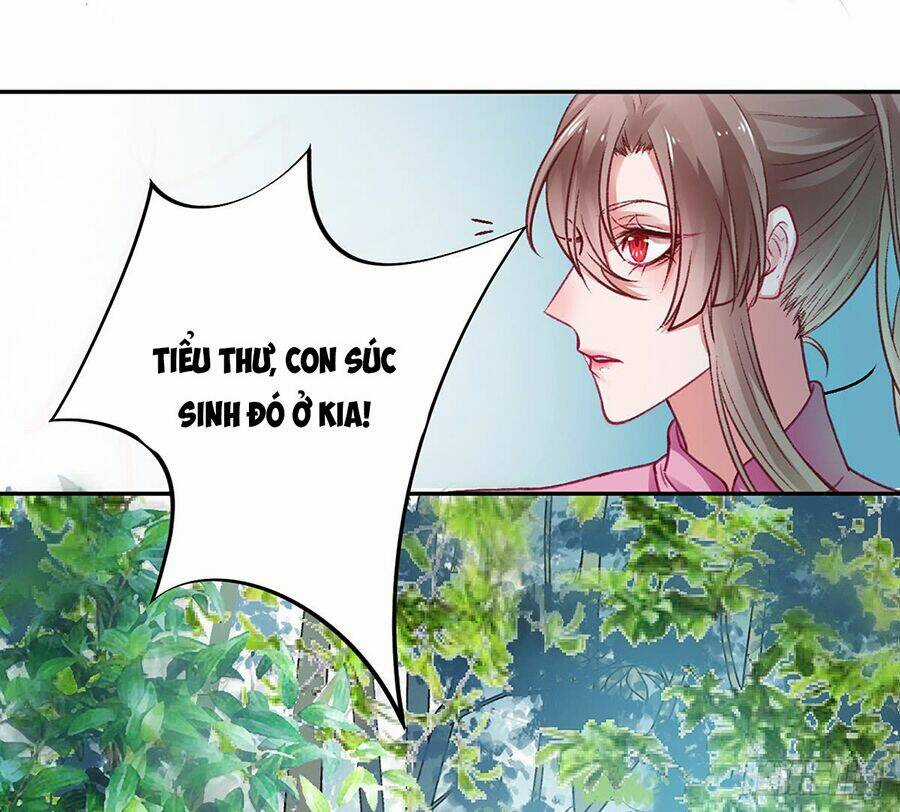 Hoàng Phi 9000 Tuổi Chapter 19 trang 3