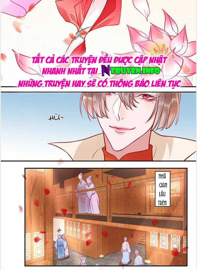 Hoàng Phi 9000 Tuổi Chapter 26 trang 11