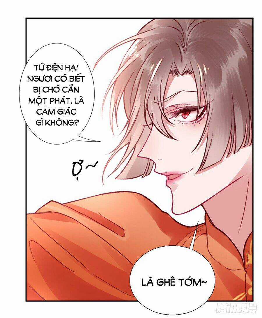 Hoàng Phi 9000 Tuổi Chapter 27 trang 12