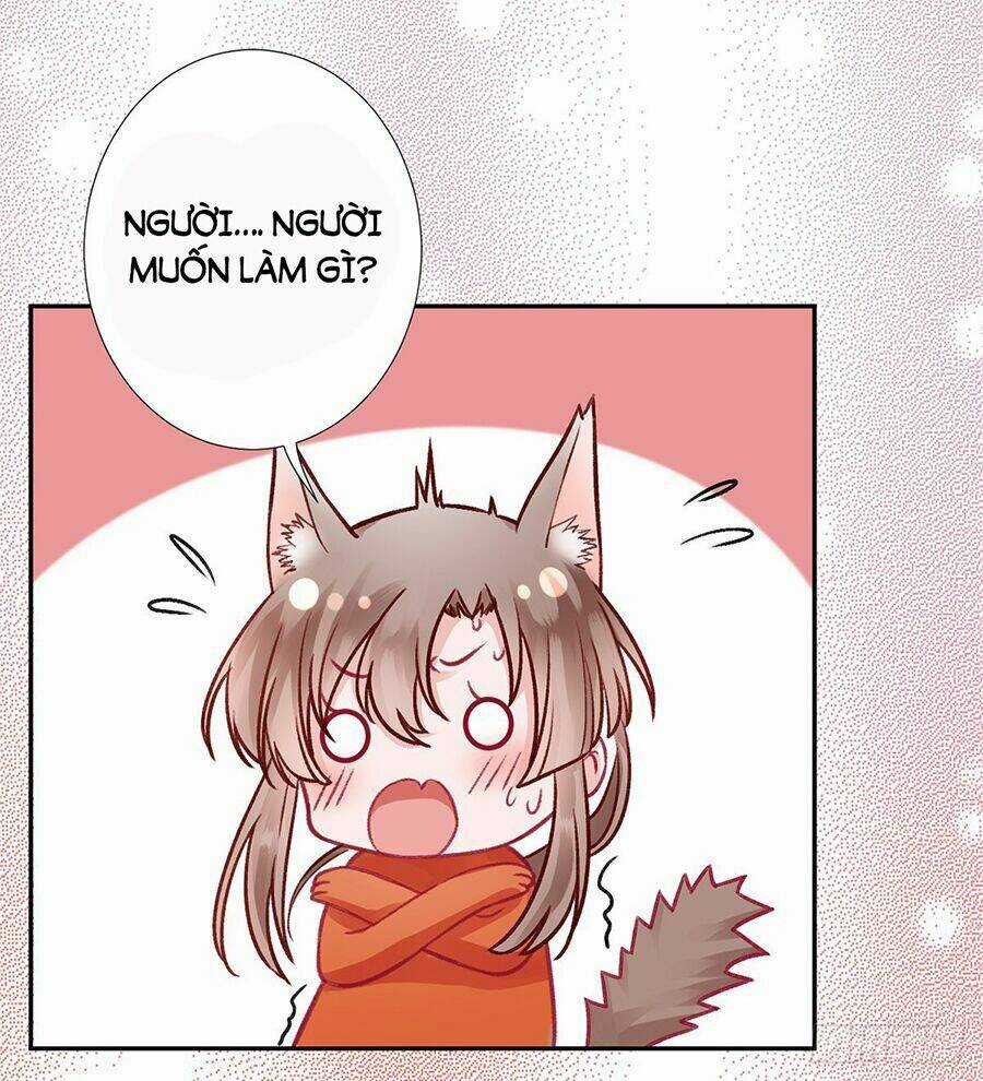 Hoàng Phi 9000 Tuổi Chapter 28 trang 21