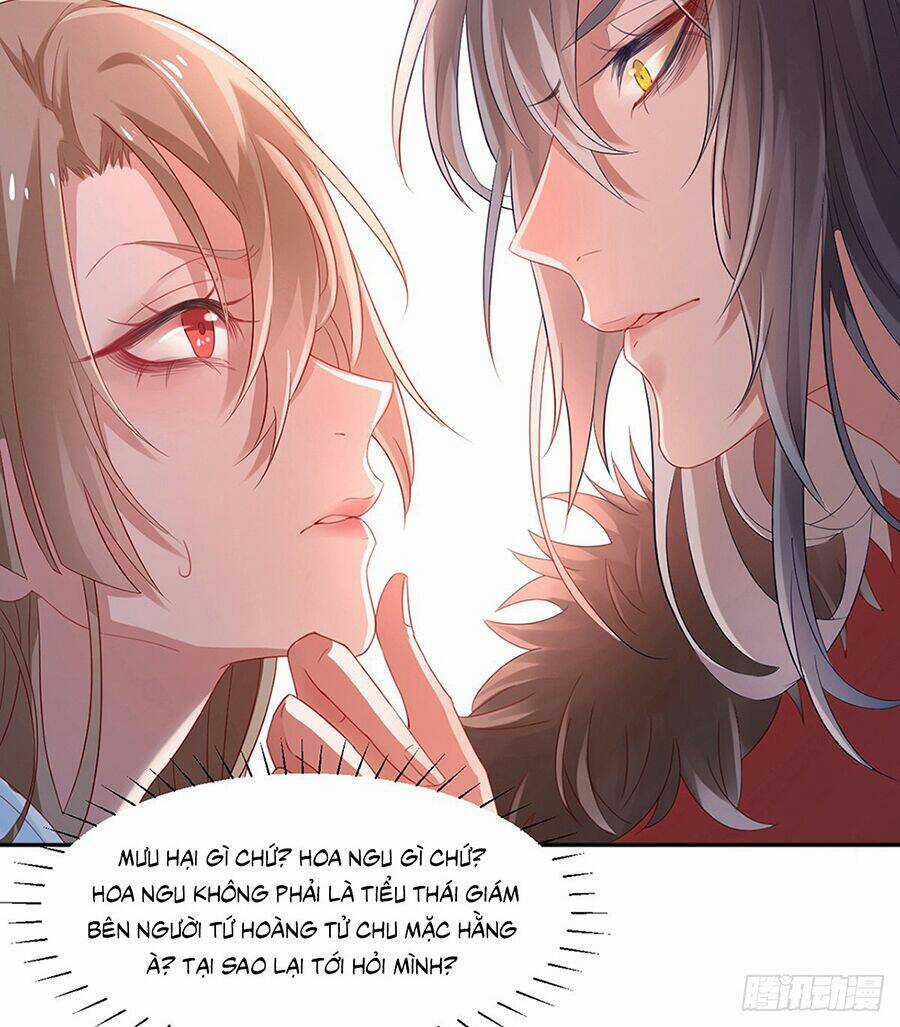 Hoàng Phi 9000 Tuổi Chapter 3 trang 11