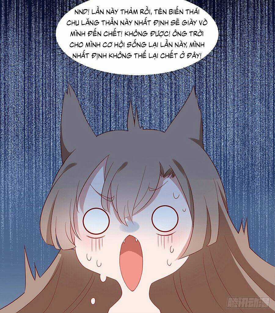 Hoàng Phi 9000 Tuổi Chapter 3 trang 13