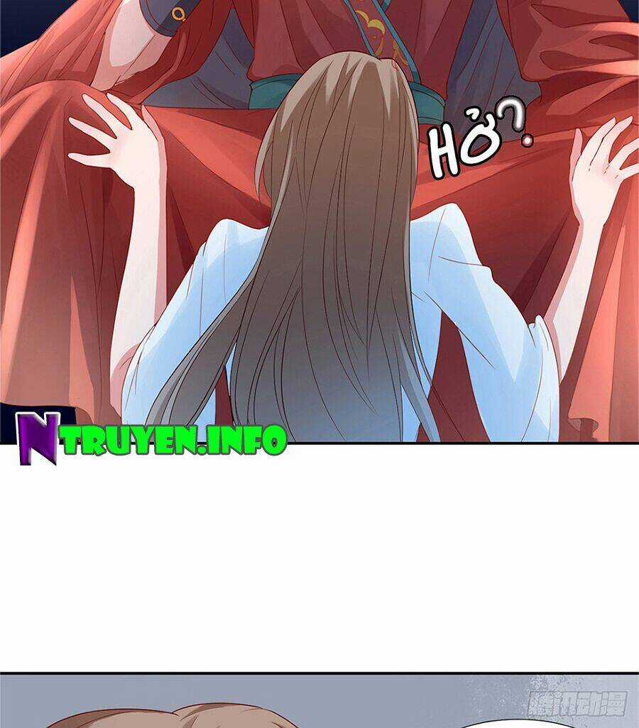 Hoàng Phi 9000 Tuổi Chapter 3 trang 7