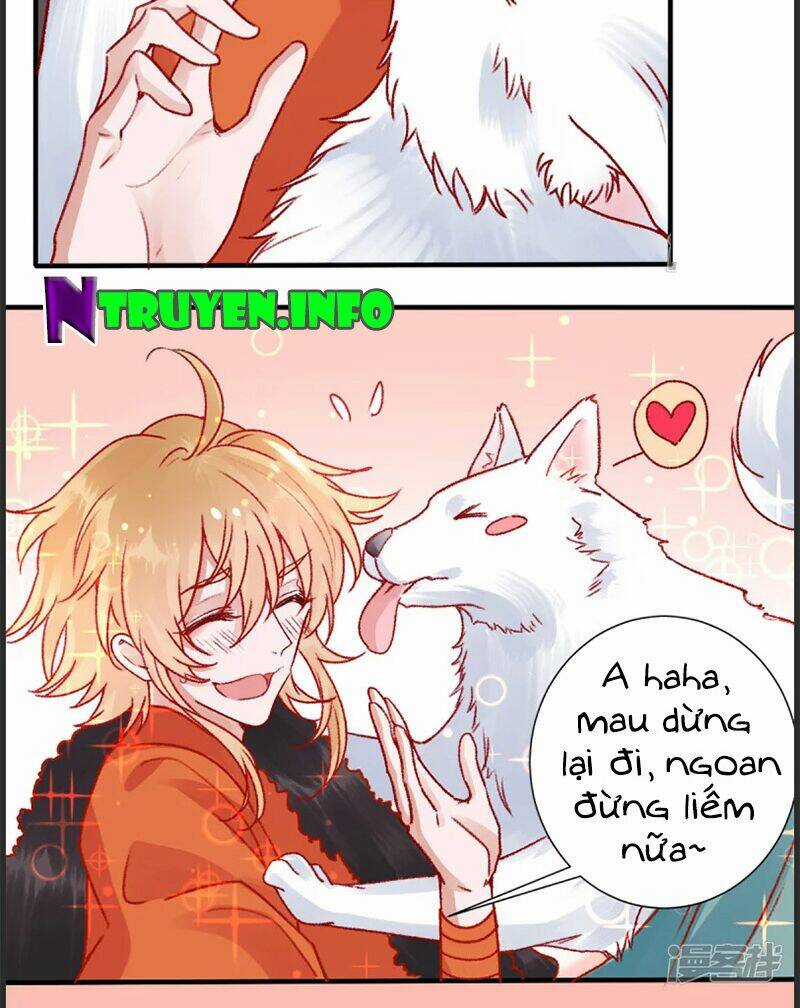 Hoàng Phi 9000 Tuổi Chapter 35 trang 10