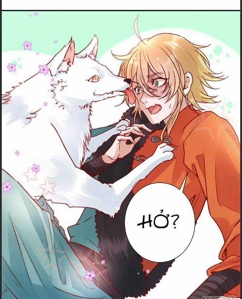 Hoàng Phi 9000 Tuổi Chapter 35 trang 6