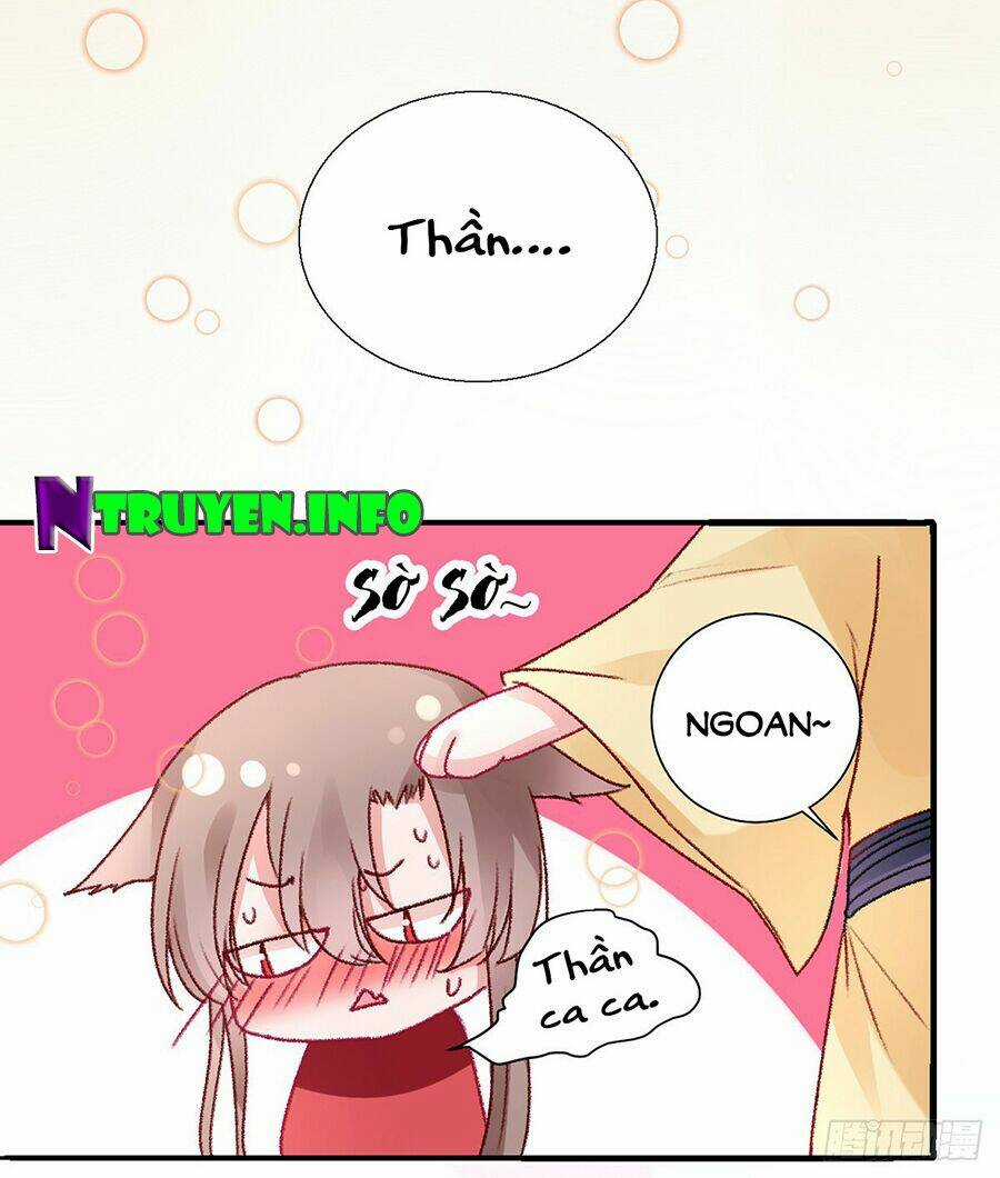 Hoàng Phi 9000 Tuổi Chapter 39 trang 12