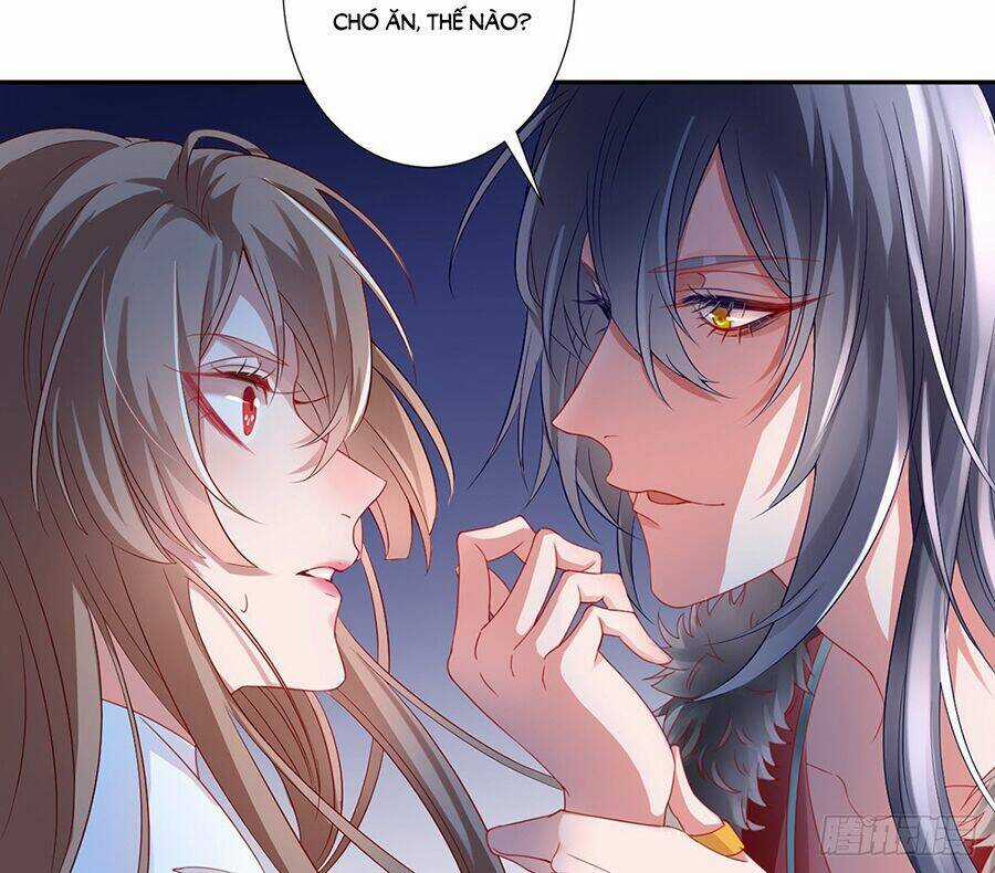 Hoàng Phi 9000 Tuổi Chapter 4 trang 17