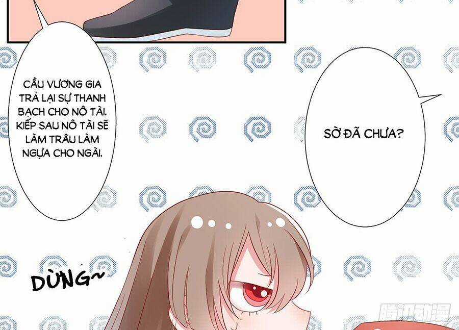 Hoàng Phi 9000 Tuổi Chapter 4 trang 3