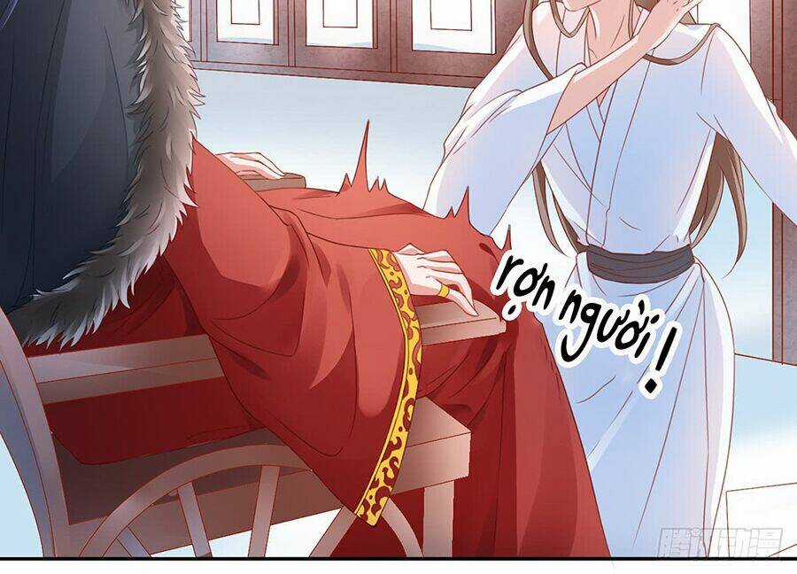 Hoàng Phi 9000 Tuổi Chapter 4 trang 5