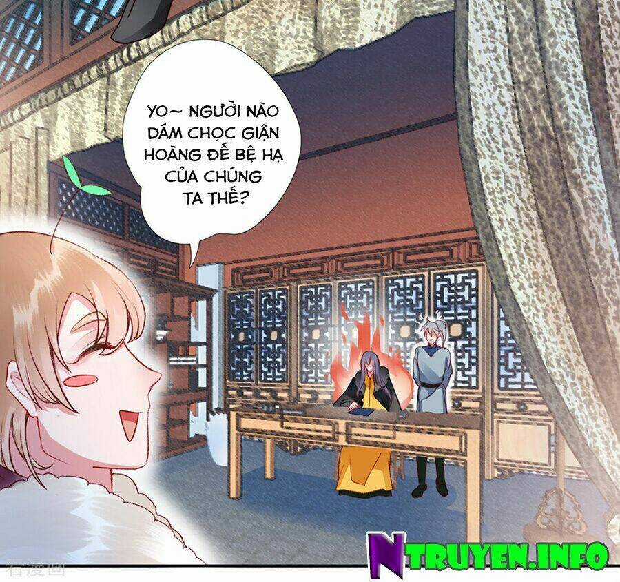 Hoàng Phi 9000 Tuổi Chapter 41 trang 14