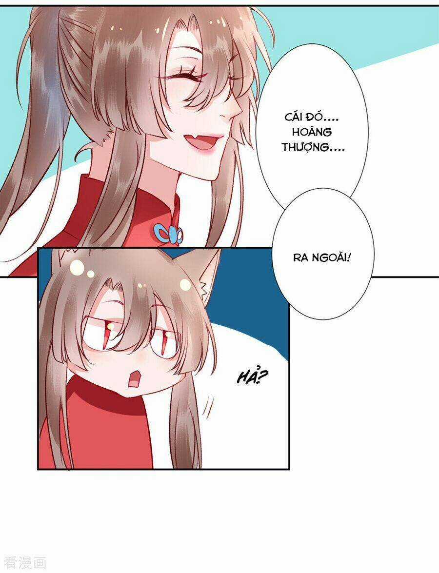 Hoàng Phi 9000 Tuổi Chapter 41 trang 24