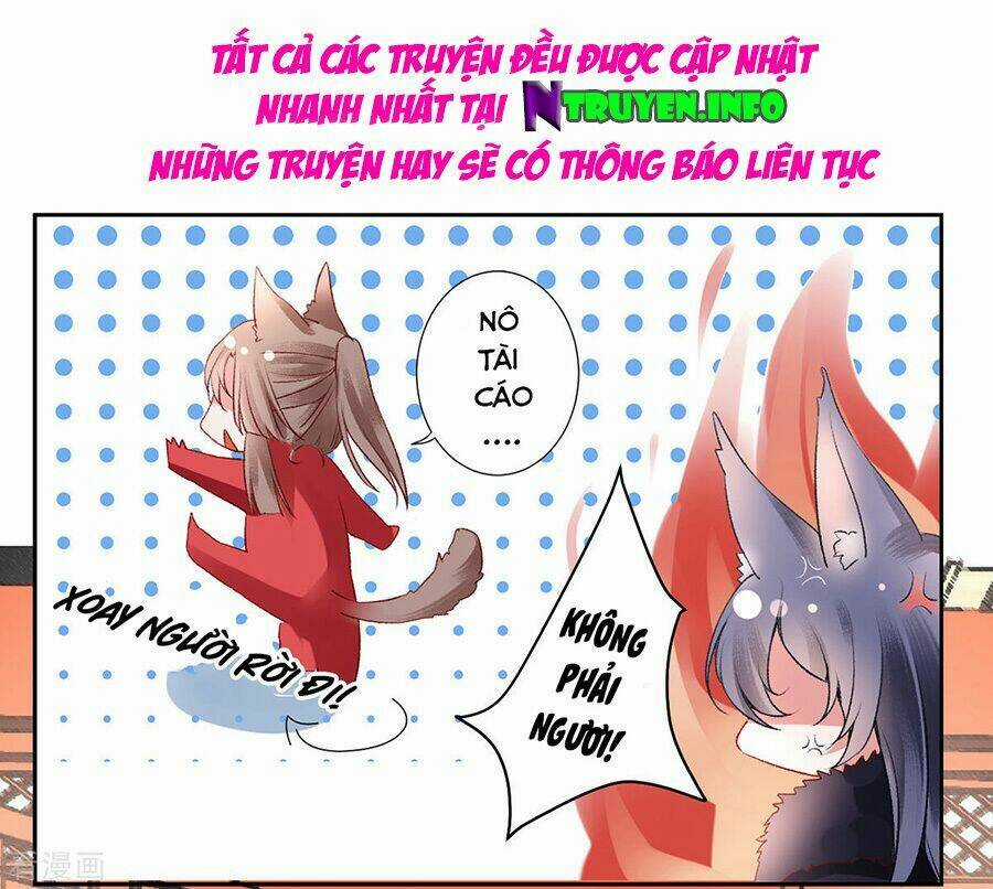 Hoàng Phi 9000 Tuổi Chapter 41 trang 25